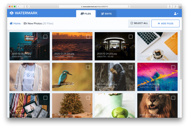 How to Batch Watermark Your Photos - Watermark.ws Blog
