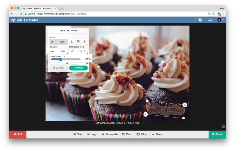 How to Watermark Photos with Your Logo - Watermark.ws Blog